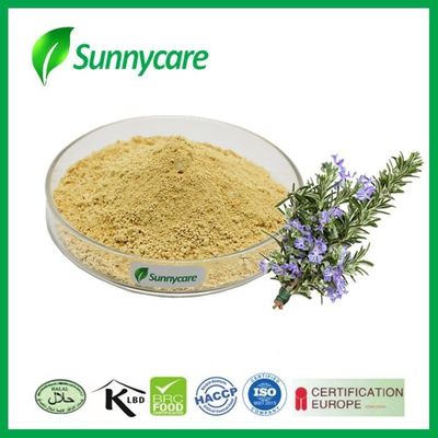 HPLC Rosemary Extract Powder 90% Carnosic Acid 98% Rosmarinic Acid 95% Ursolic Acid