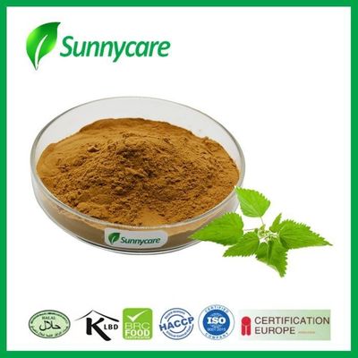 CAS 84012-40-8 Nettle Root Extract Powder Urtica Cannabina P. E 10%