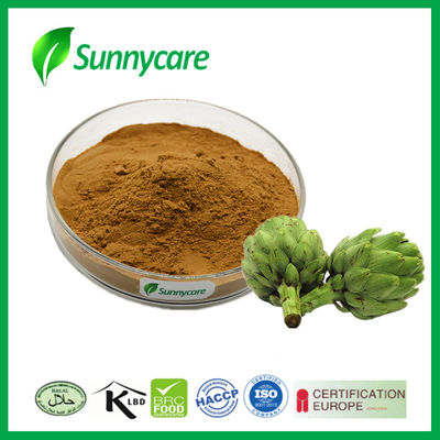 2.5% 5% Cynarin Artichoke Leaf Extract Powder Cynara Scolymus Leaf Extract