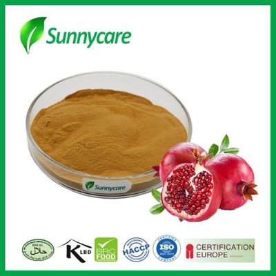 Pomegranate Extract Powder Ellagic Acid 20% 40% HPLC Pomegranate Fruit Powder