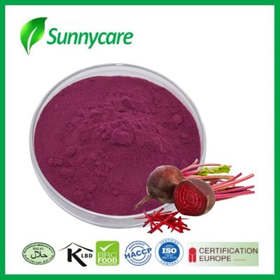 Estratto di barbabietola Polvere di colore rosso violaceo per la resistenza fisica e la salute del cuore con nitrato di betaina