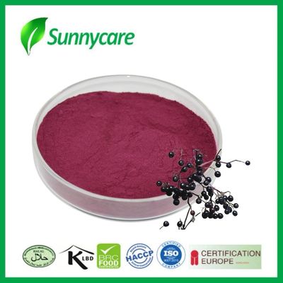 Estratto di mirtillo nero in polvere di Sambucus nigra per immunità e vitalità