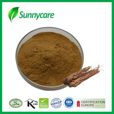 1% Ligustilide Dong Quai Angelica Root Extract Chinese Traditional Aromatic Herb