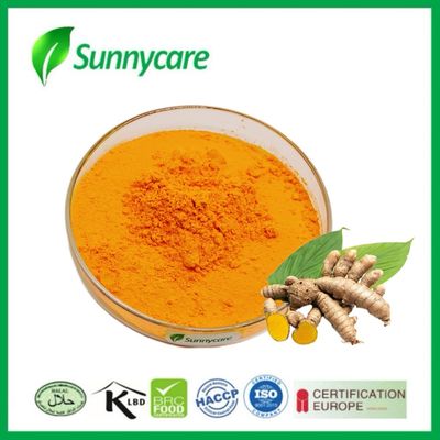 Estratto di Curcuma in Polvere Gialla 95% Curcumina Estratto di Radice di Curcuma Longa