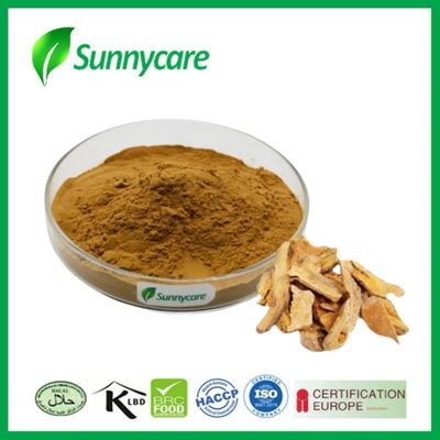 Resveratrol HPLC Polygonum Cuspidatum Extract Powder 50% 98% CAS 501-36-0