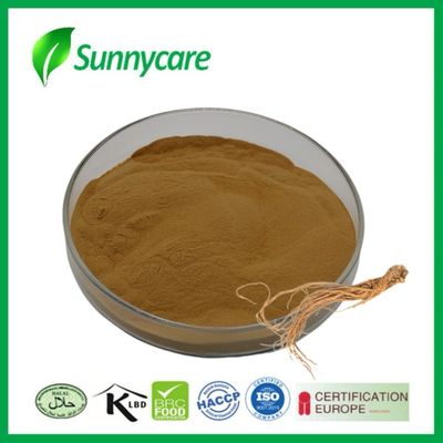 Estratto di Dong Quai in polvere Angelica sinensis Equilibrio ormonale integratori alimentari