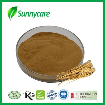 Estratto di Dong Quai in polvere Angelica sinensis Salute del fegato e dei reni Erbe medicinali