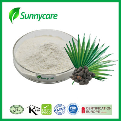 Estratto naturale di Saw Palmetto Serenoa Repens materia prima con acidi grassi liberi